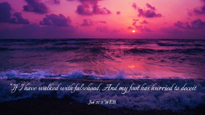 Picture 03 - Job 31:5 WEB Desktop Wallpaper - 