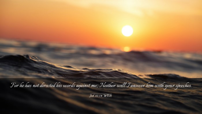 Picture 03 - Job 32:14 WEB Desktop Wallpaper - For he has not directed his words against me; - Desktop Bible Verse Wallpaper
