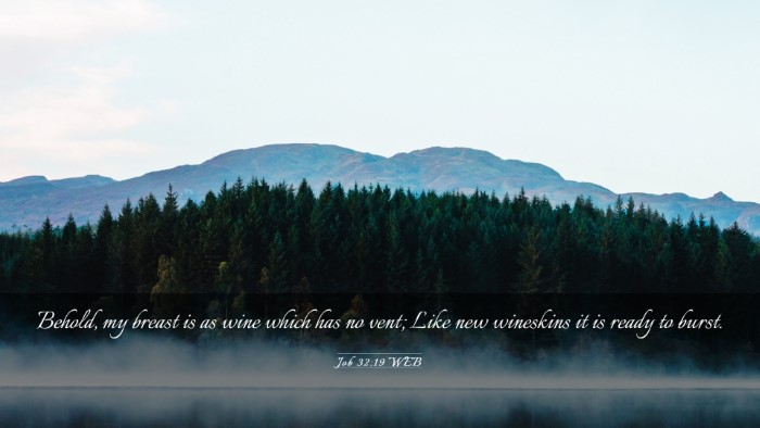 Picture 03 - Job 32:19 WEB Desktop Wallpaper - Behold, my breast is as wine which has no vent; - Desktop Bible Verse Wallpaper