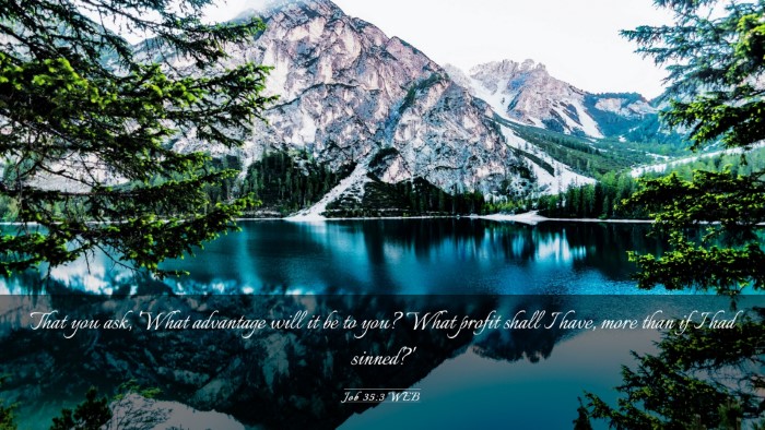Picture 03 - Job 35:3 WEB Desktop Wallpaper - That you ask, 'What advantage will it be to you? - Desktop Bible Verse Wallpaper