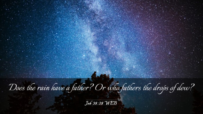 Picture 03 - Job 38:28 WEB Desktop Wallpaper - Does the rain have a father? Or who fathers the - Desktop Bible Verse Wallpaper