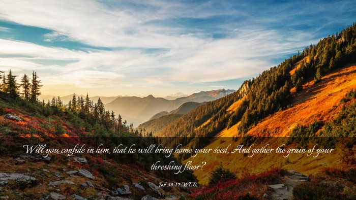 Picture 03 - Job 39:12 WEB Desktop Wallpaper - Will you confide in him, that he will bring home - Desktop Bible Verse Wallpaper