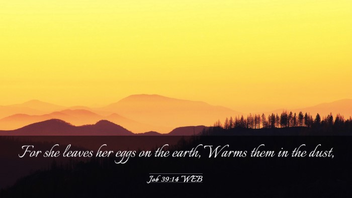 Picture 03 - Job 39:14 WEB Desktop Wallpaper - For she leaves her eggs on the earth, Warms them - Desktop Bible Verse Wallpaper