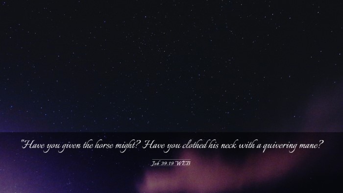 Picture 03 - Job 39:19 WEB Desktop Wallpaper - 
