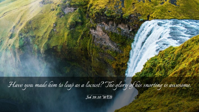 Picture 03 - Job 39:20 WEB Desktop Wallpaper - Have you made him to leap as a locust? The glory - Desktop Bible Verse Wallpaper
