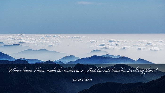 Picture 03 - Job 39:6 WEB Desktop Wallpaper - Whose home I have made the wilderness, And the - Desktop Bible Verse Wallpaper