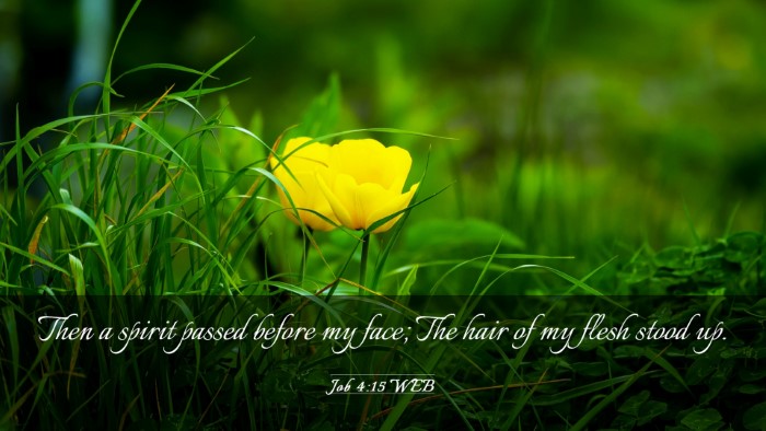 Picture 03 - Job 4:15 WEB Desktop Wallpaper - Then a spirit passed before my face; The hair of - Desktop Bible Verse Wallpaper