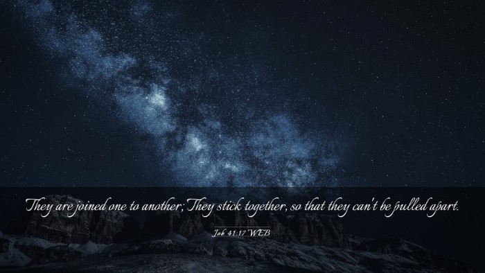Picture 03 - Job 41:17 WEB Desktop Wallpaper - They are joined one to another; They stick - Desktop Bible Verse Wallpaper