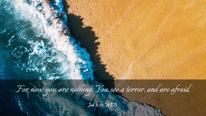 Picture 03 - Job 6:21 WEB Desktop Wallpaper - For now you are nothing. You see a terror, and - Desktop Bible Verse Wallpaper