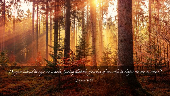 Picture 03 - Job 6:26 WEB Desktop Wallpaper - Do you intend to reprove words, Seeing that the - Desktop Bible Verse Wallpaper