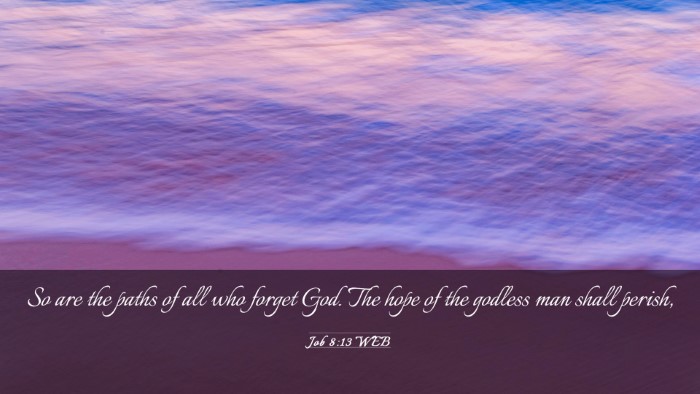 Picture 03 - Job 8:13 WEB Desktop Wallpaper - So are the paths of all who forget God. The hope - Desktop Bible Verse Wallpaper