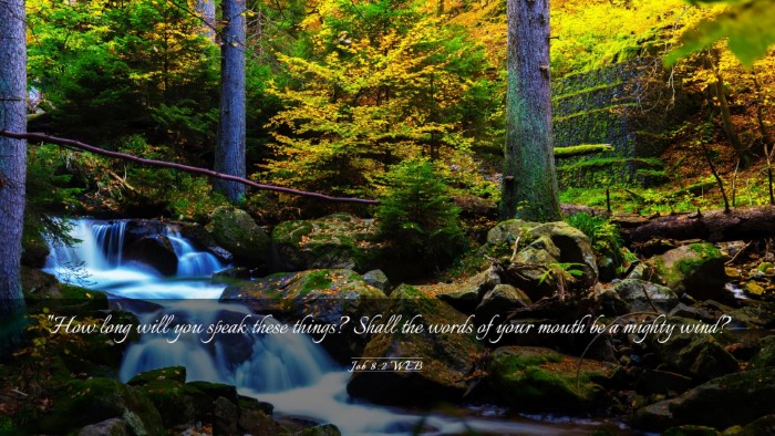 Picture 03 - Job 8:2 WEB Desktop Wallpaper - 