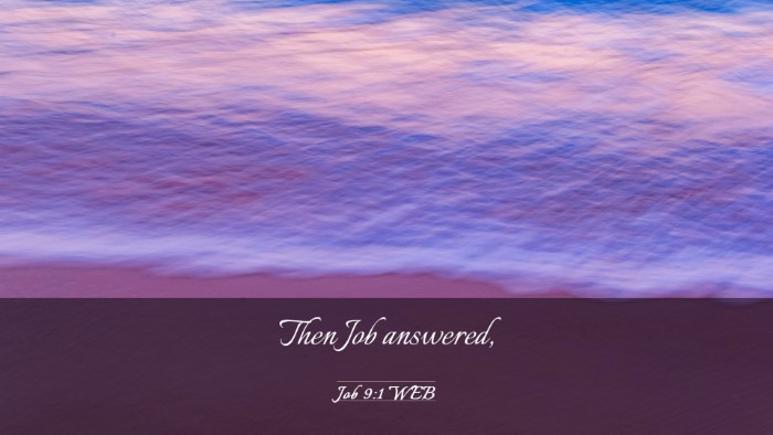 Picture 03 - Job 9:1 WEB Desktop Wallpaper - Then Job - Desktop Bible Verse Wallpaper