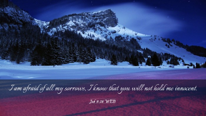 Picture 03 - Job 9:28 WEB Desktop Wallpaper - I am afraid of all my sorrows, I know that you - Desktop Bible Verse Wallpaper