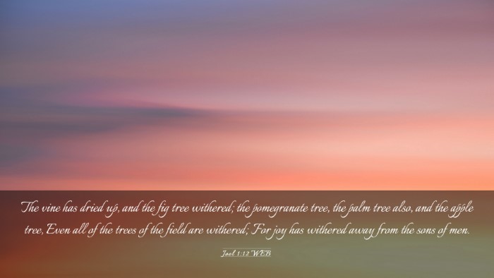 Picture 03 - Joel 1:12 WEB Desktop Wallpaper - The vine has dried up, and the fig tree withered; - Desktop Bible Verse Wallpaper