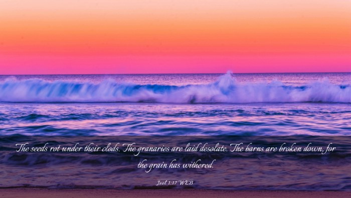 Picture 03 - Joel 1:17 WEB Desktop Wallpaper - The seeds rot under their clods. The granaries - Desktop Bible Verse Wallpaper