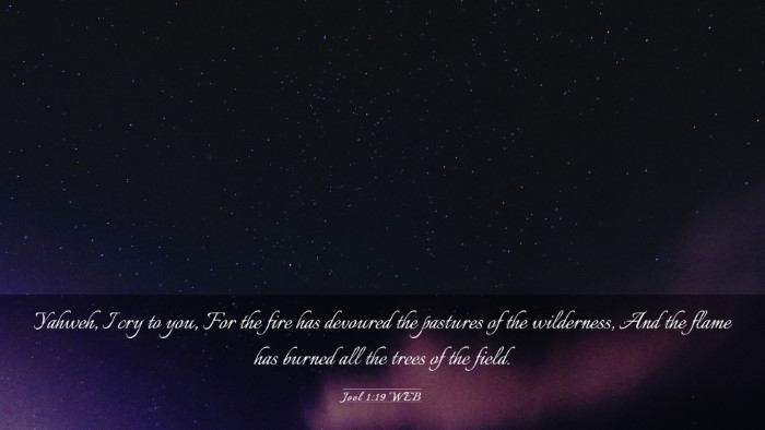 Picture 03 - Joel 1:19 WEB Desktop Wallpaper - Yahweh, I cry to you, For the fire has devoured - Desktop Bible Verse Wallpaper