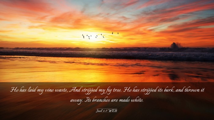 Picture 03 - Joel 1:7 WEB Desktop Wallpaper - He has laid my vine waste, And stripped my fig - Desktop Bible Verse Wallpaper
