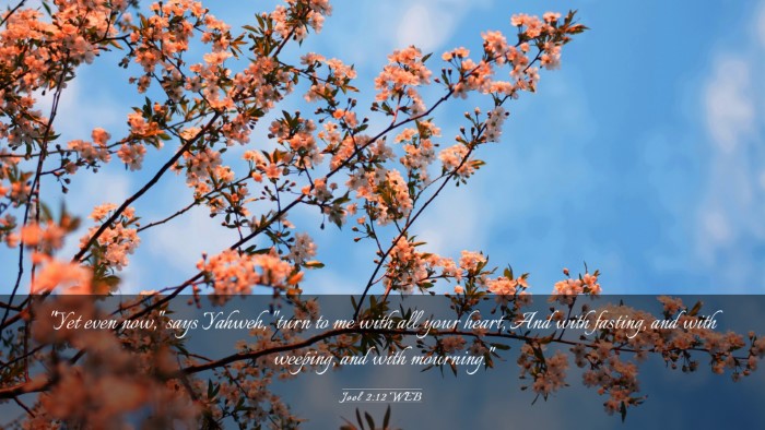 Picture 03 - Joel 2:12 WEB Desktop Wallpaper - 