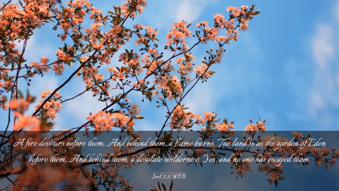 Picture 03 - Joel 2:3 WEB Desktop Wallpaper - A fire devours before them, And behind them, a - Desktop Bible Verse Wallpaper