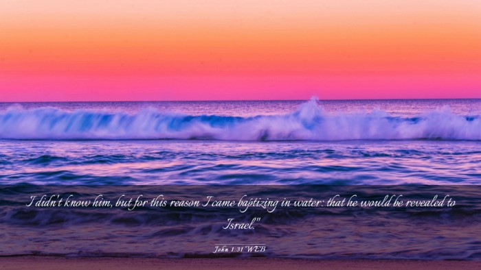Picture 03 - John 1:31 WEB Desktop Wallpaper - I didn't know him, but for this reason I came - Desktop Bible Verse Wallpaper