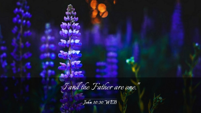 Picture 03 - John 10:30 WEB Desktop Wallpaper - I and the Father are - Desktop Bible Verse Wallpaper