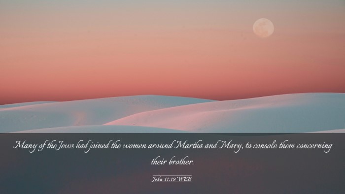 Picture 03 - John 11:19 WEB Desktop Wallpaper - Many of the Jews had joined the women around - Desktop Bible Verse Wallpaper