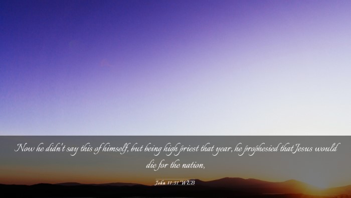 Picture 03 - John 11:51 WEB Desktop Wallpaper - Now he didn't say this of himself, but being high - Desktop Bible Verse Wallpaper