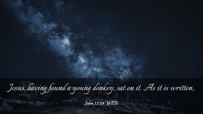 Picture 03 - John 12:14 WEB Desktop Wallpaper - Jesus, having found a young donkey, sat on it. As - Desktop Bible Verse Wallpaper