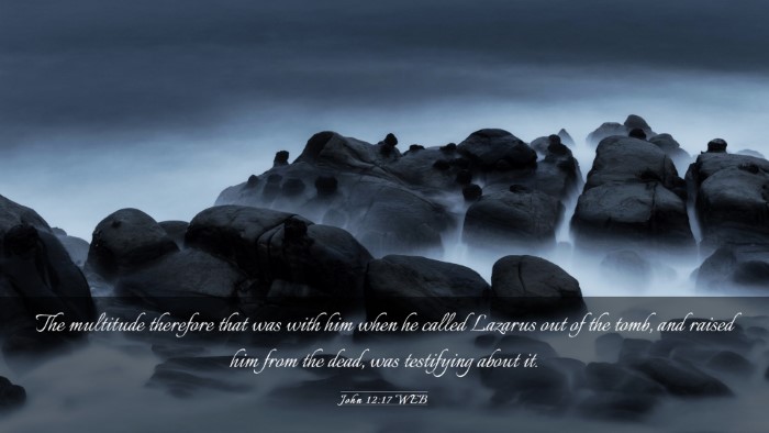 Picture 03 - John 12:17 WEB Desktop Wallpaper - The multitude therefore that was with him when he - Desktop Bible Verse Wallpaper