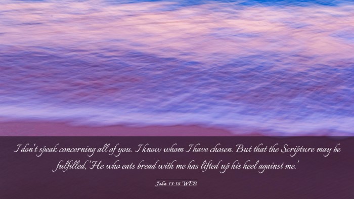 Picture 03 - John 13:18 WEB Desktop Wallpaper - I don't speak concerning all of you. I know whom - Desktop Bible Verse Wallpaper