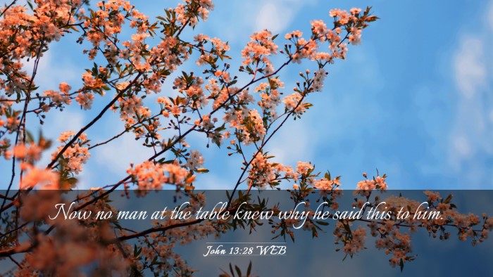 Picture 03 - John 13:28 WEB Desktop Wallpaper - Now no man at the table knew why he said this to - Desktop Bible Verse Wallpaper