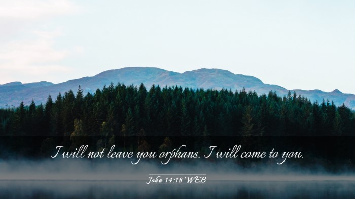 Picture 03 - John 14:18 WEB Desktop Wallpaper - I will not leave you orphans. I will come to - Desktop Bible Verse Wallpaper
