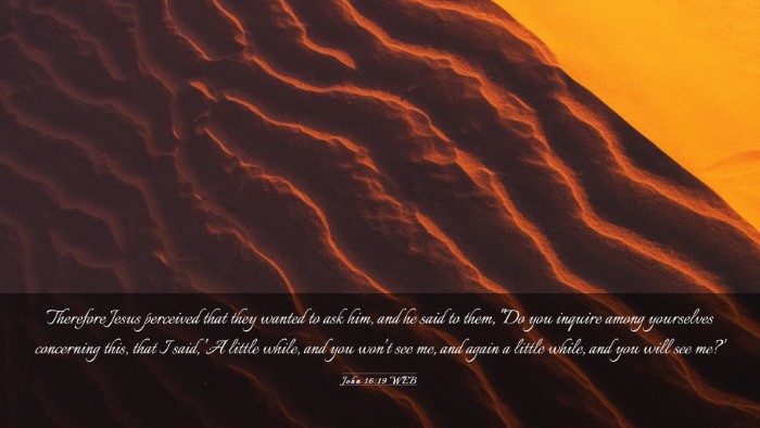 Picture 03 - John 16:19 WEB Desktop Wallpaper - Therefore Jesus perceived that they wanted to ask - Desktop Bible Verse Wallpaper