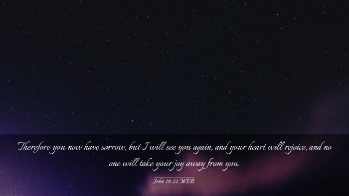 Picture 03 - John 16:22 WEB Desktop Wallpaper - Therefore you now have sorrow, but I will see you - Desktop Bible Verse Wallpaper