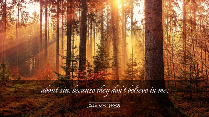 Picture 03 - John 16:9 WEB Desktop Wallpaper - about sin, because they don't believe in - Desktop Bible Verse Wallpaper