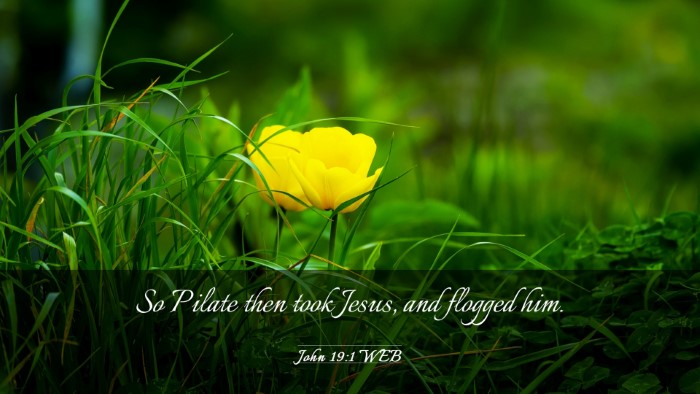 Picture 03 - John 19:1 WEB Desktop Wallpaper - So Pilate then took Jesus, and flogged - Desktop Bible Verse Wallpaper