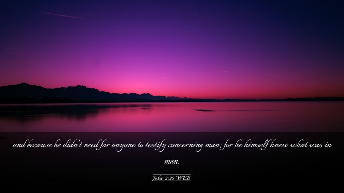 Picture 03 - John 2:25 WEB Desktop Wallpaper - and because he didn't need for anyone to testify - Desktop Bible Verse Wallpaper