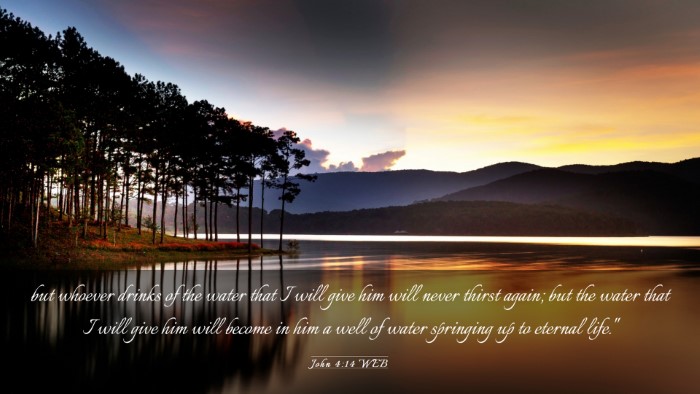 Picture 03 - John 4:14 WEB Desktop Wallpaper - but whoever drinks of the water that I will give - Desktop Bible Verse Wallpaper
