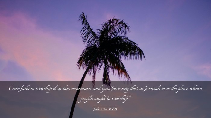 Picture 03 - John 4:20 WEB Desktop Wallpaper - Our fathers worshiped in this mountain, and you - Desktop Bible Verse Wallpaper