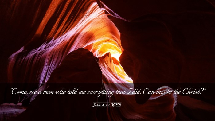 Picture 03 - John 4:29 WEB Desktop Wallpaper - 