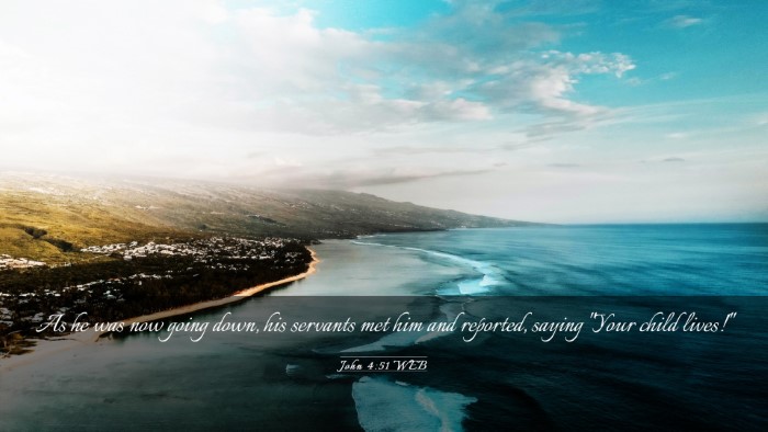 Picture 03 - John 4:51 WEB Desktop Wallpaper - As he was now going down, his servants met him - Desktop Bible Verse Wallpaper