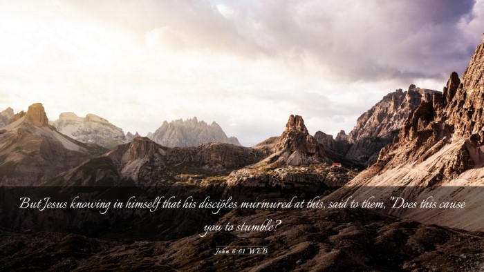 Picture 03 - John 6:61 WEB Desktop Wallpaper - But Jesus knowing in himself that his disciples - Desktop Bible Verse Wallpaper