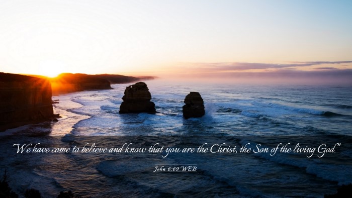 Picture 03 - John 6:69 WEB Desktop Wallpaper - We have come to believe and know that you are the - Desktop Bible Verse Wallpaper