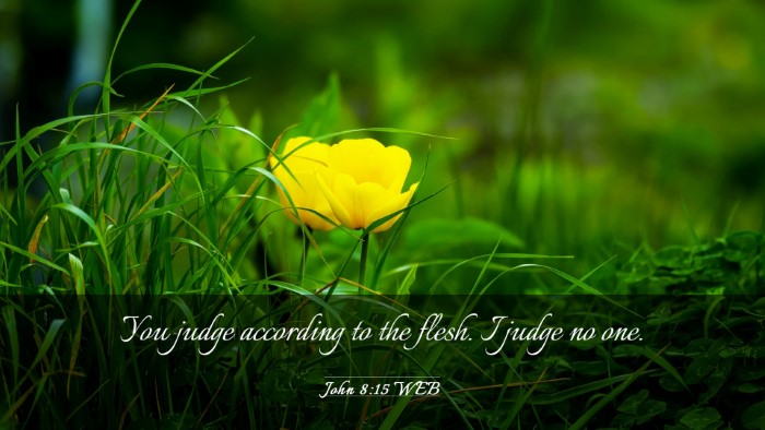 Picture 03 - John 8:15 WEB Desktop Wallpaper - You judge according to the flesh. I judge no - Desktop Bible Verse Wallpaper