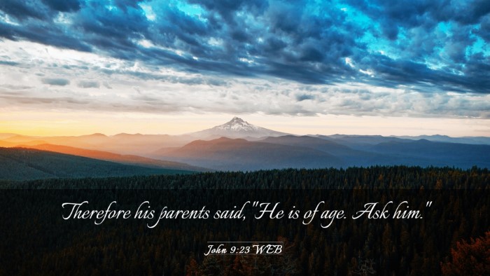 Picture 03 - John 9:23 WEB Desktop Wallpaper - Therefore his parents said, 