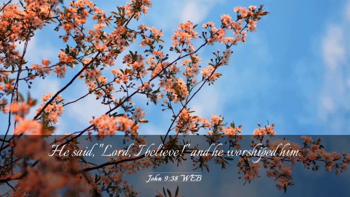Picture 03 - John 9:38 WEB Desktop Wallpaper - He said, 