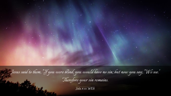 Picture 03 - John 9:41 WEB Desktop Wallpaper - Jesus said to them, 