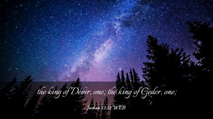 Picture 03 - Joshua 12:13 WEB Desktop Wallpaper - the king of Debir, one; the king of Geder, - Desktop Bible Verse Wallpaper
