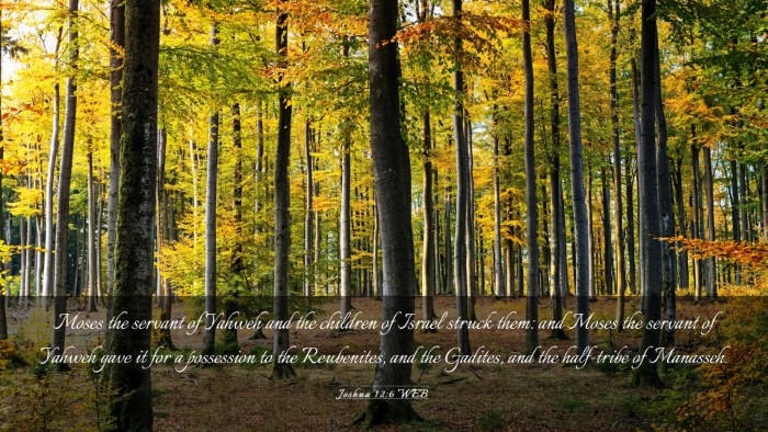 Picture 03 - Joshua 12:6 WEB Desktop Wallpaper - Moses the servant of Yahweh and the children of - Desktop Bible Verse Wallpaper